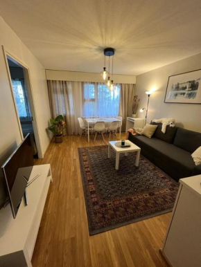 APt 37